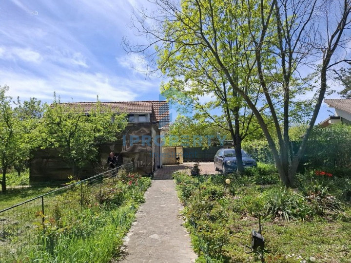 Snagov I Vila 5 Camere I Teren 1419 M I Garaj + Garsoniera Separat I Curte I  - fotografie proprietate 12