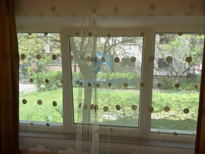 Închiriere Apartament 1 camere în Dristor - fotografie proprietate 8