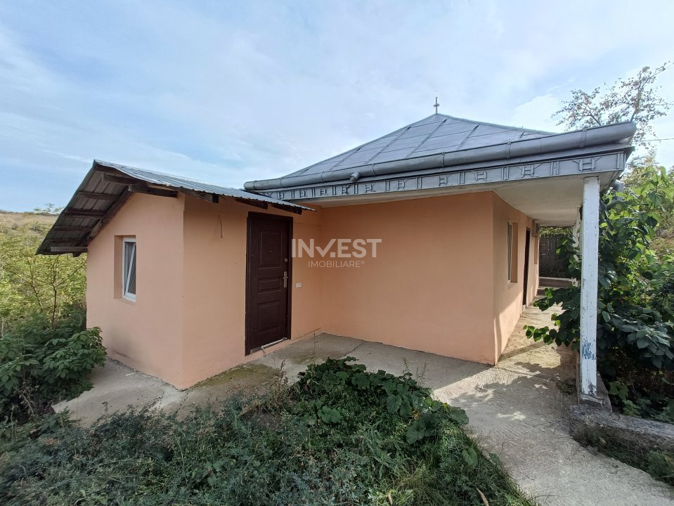 Casa cu 1688mp in zona Iepureni (Movileni) IASI - 1