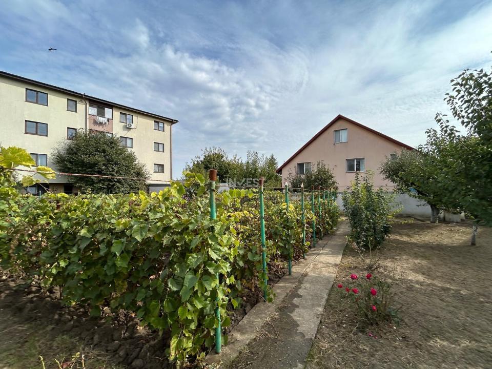 TEREN INTRAVALIN , 927 MP , DESCHIDERE 31 MP, CAPAT CUG-STRADA BAZEI - 5