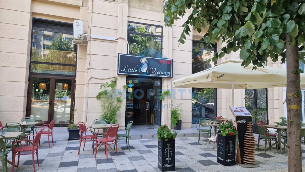 imagine-secundara-proprietate-293084