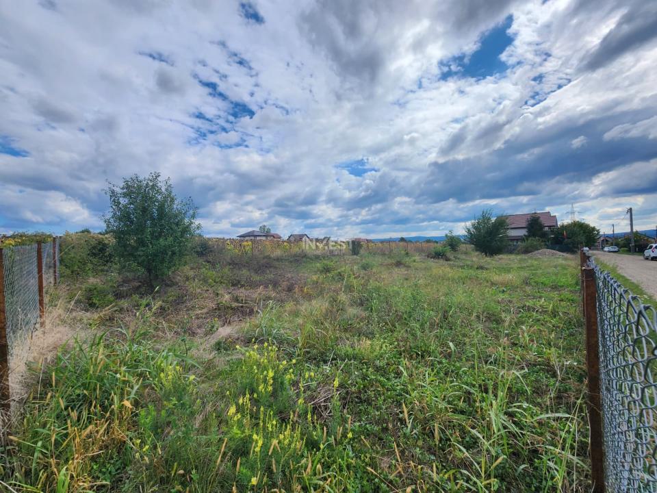 TEREN INTRAVILAT , 704 MP, MIROSLAVA - 1