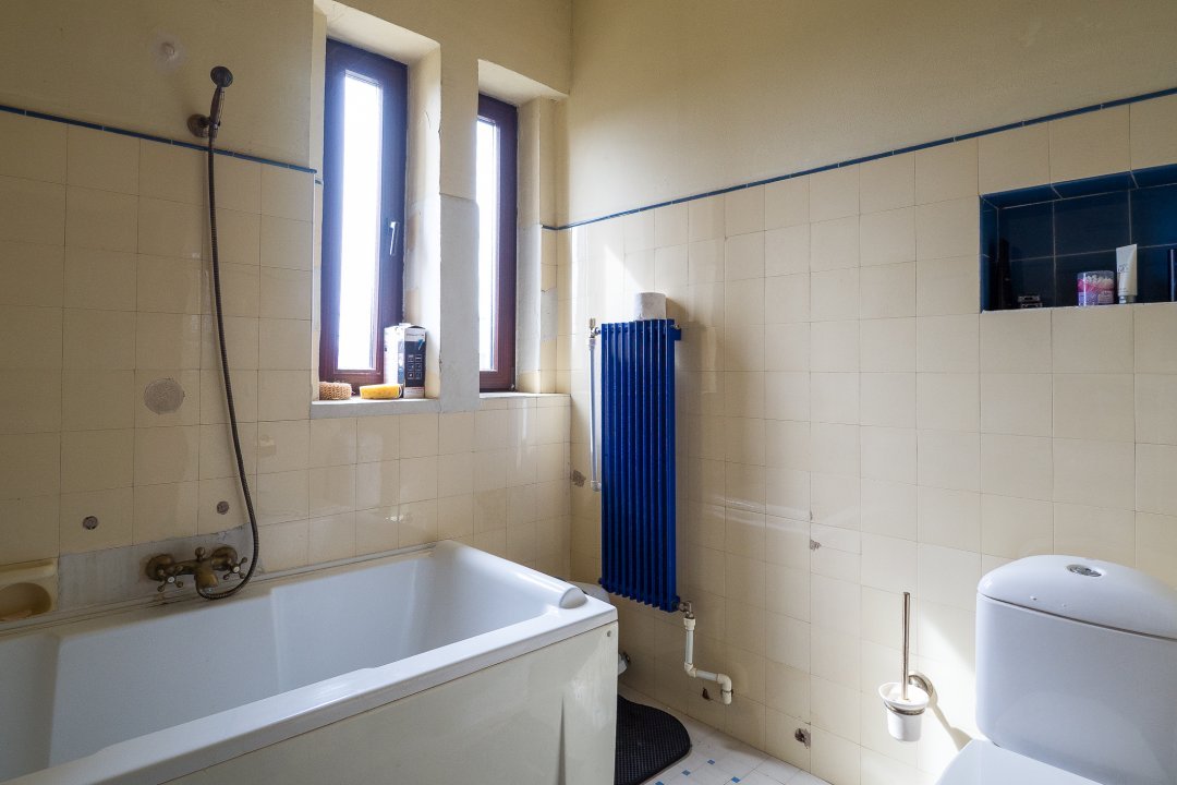 Domeniul si Conacul Furculesti, 30000mp pe malul lacului, ocazie unica