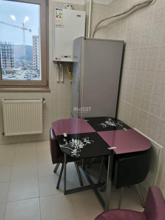 Apartament 2 camere de inchiriat zona Visoianu - 8