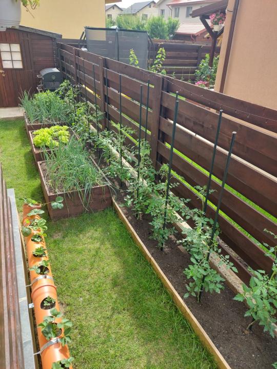 Casa 4C Valea Lupului-Iași - 9