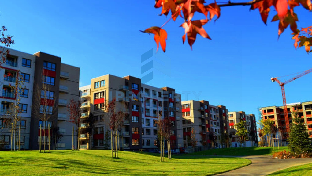 Închiriere Apartament 2 camere în Berceni Centrală Proprie - fotografie proprietate 9
