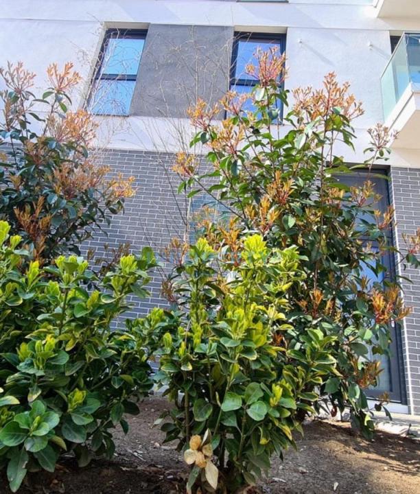 Timpuri Noi 3 Camere Bloc Nou cu centrala balcon si loc de parcare - fotografie proprietate 11