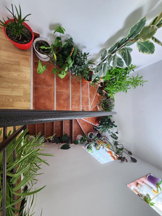 CASA INDIVIDUALA, 4 CAMERE, 2 BAI, 440 MP TEREN - VISOIANU - 8
