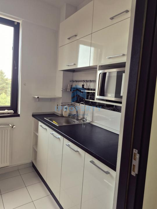 Închiriere Apartament 2 camere în Bd. Laminorului cu Parcare si Centrala Proprie - fotografie proprietate 7