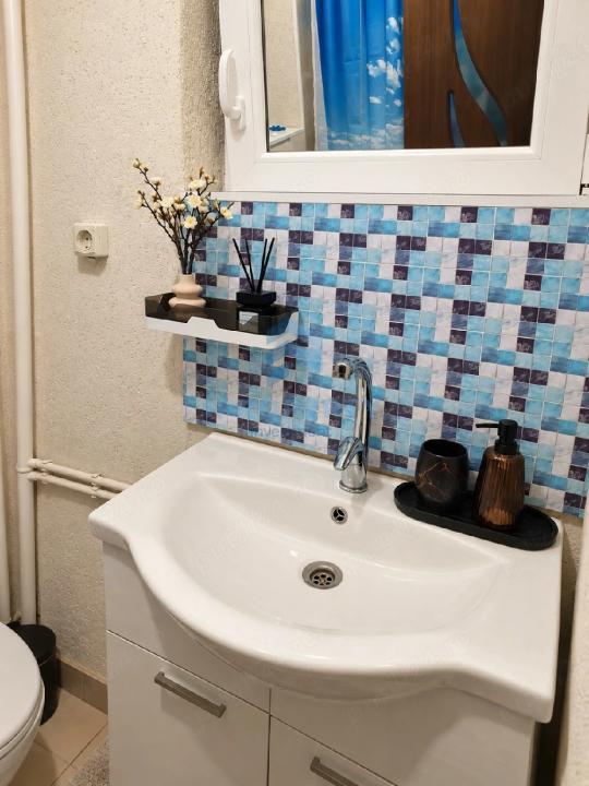 Închiriere Apartament 2 camere in Polona in Vila Pet Friendly  - fotografie proprietate 14