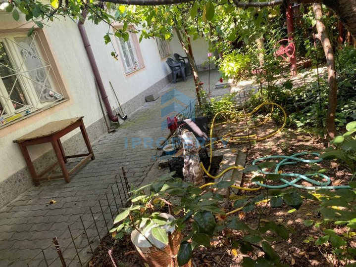 Vânzare Casă 5 camere în Colentina plus curte - fotografie proprietate 7