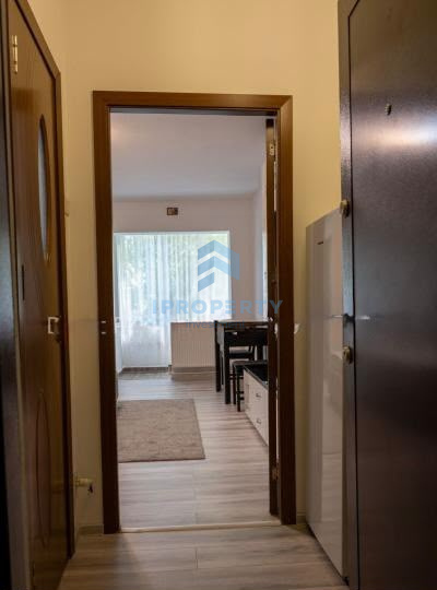 imagine-secundara-proprietate-295695