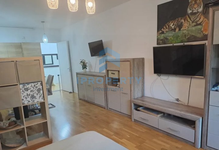 imagine-secundara-proprietate-305505
