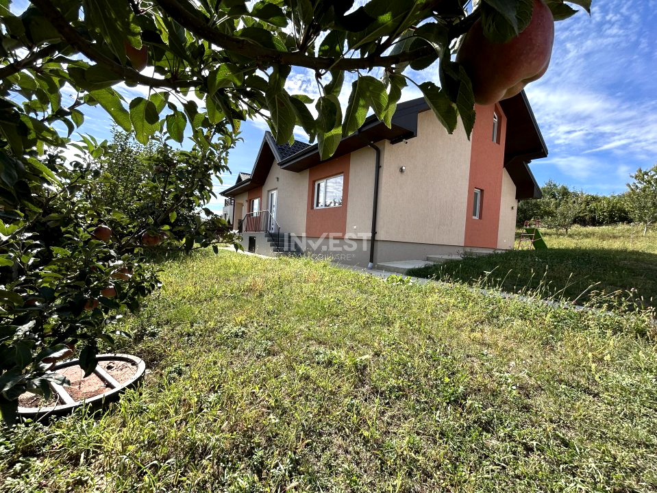 Casa de vanzare, parter 4 camere, garaj, 1424mp teren - Bucium- Vișani, IASI