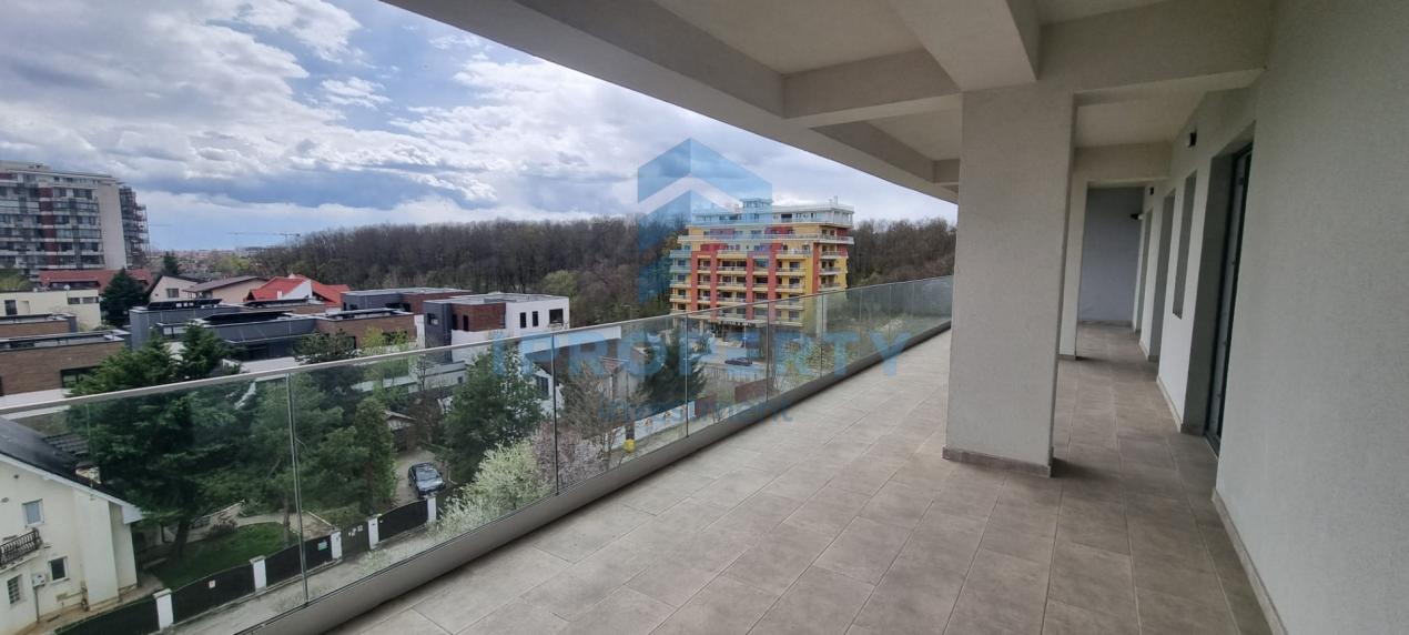 imagine-principala-proprietate-286919