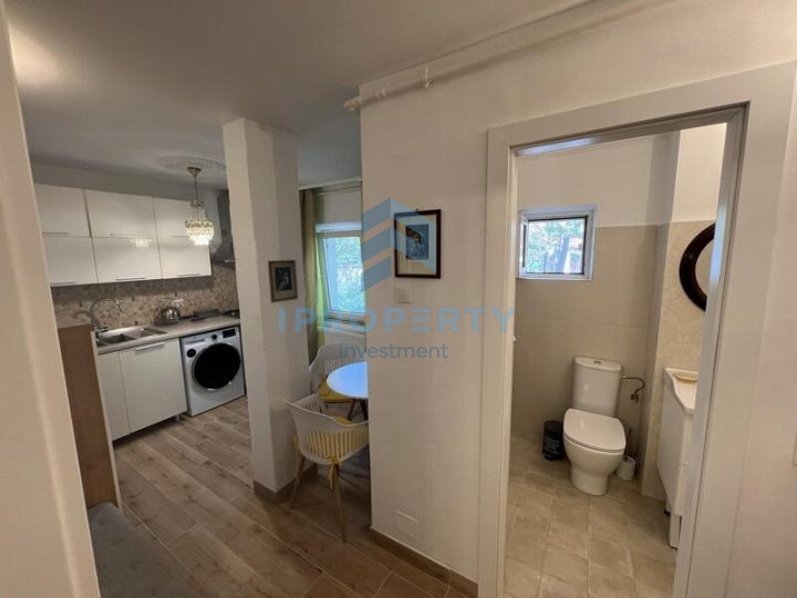 Închiriere Apartament 1 camere în Dristor - fotografie proprietate 4