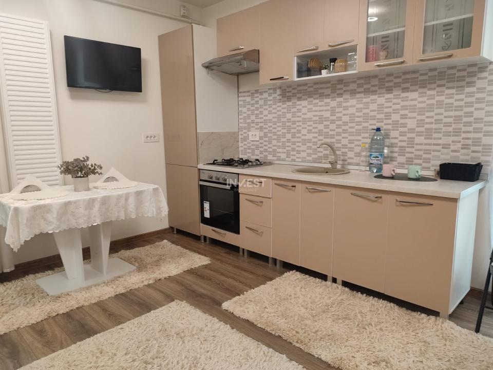Penthouse cu 2 camere si 2 terase , 550 euro - Nicolina - 6