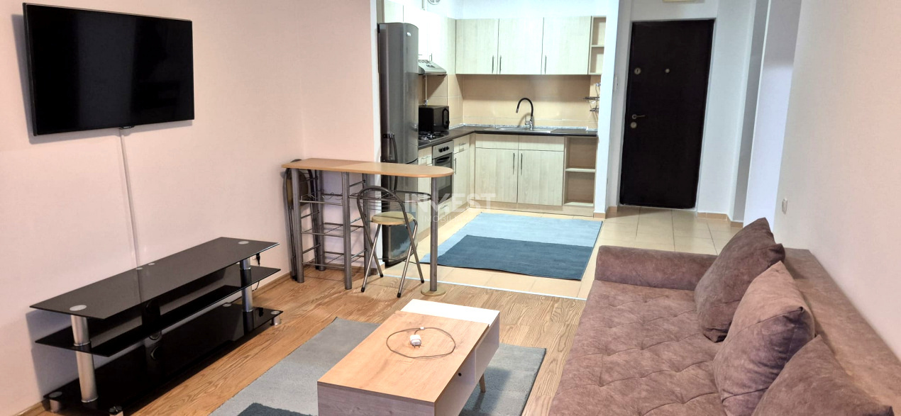 Apartament 2 camere-Tătărași Sud - 4