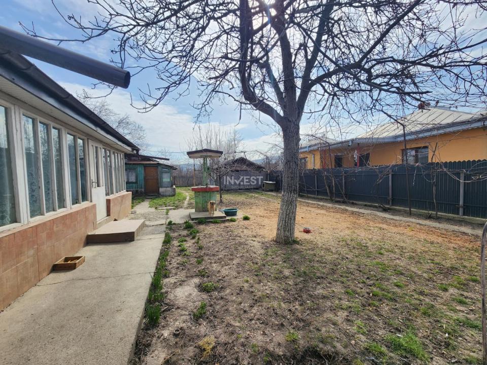 CASA VOINESTI, 1600 MP TEREN - 7