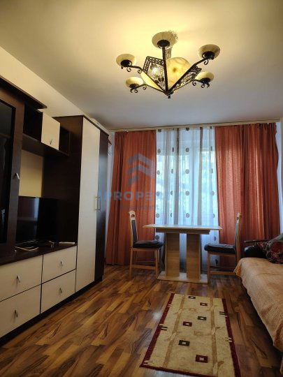 imagine-secundara-proprietate-293235