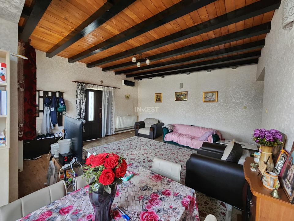 CASA INDIVIDUALA, LUNCA CETATUII, 3 CAMERE 89 MP UTILI, 300 MP TEREN - 1