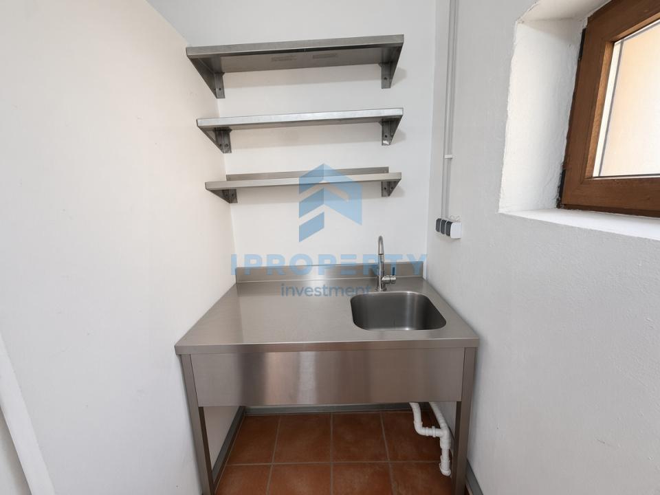 Spatiu Comercial zona Timpuri Noi 500MP cu terasa - fotografie proprietate 8