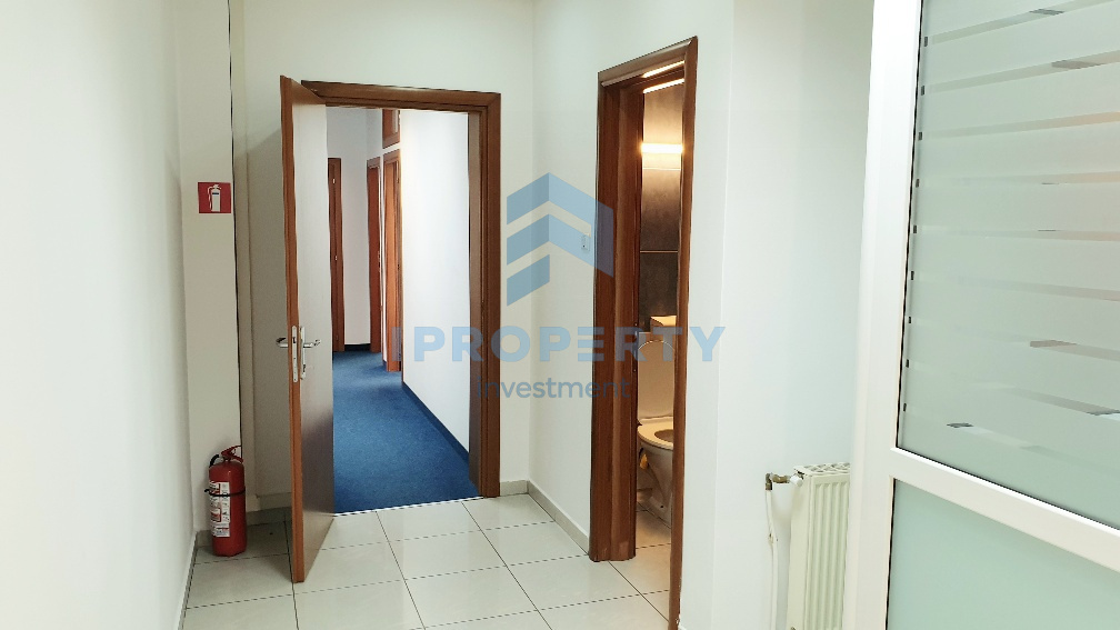 Domenii | Spatiu Birouri | Centrala Proprie | Garaj Separat ( 200 euro) | - fotografie proprietate 9