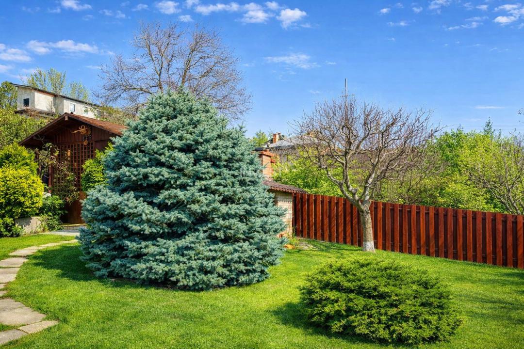 Vilă cu 7 camere și 825 mp teren în cartierul Bucium-Iasi - 11