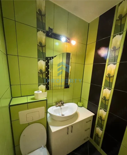 imagine-secundara-proprietate-304579