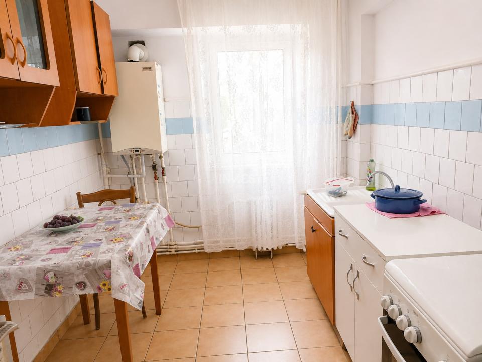 Apartament 2 camere de inchiriat zona Podu de Fier  - 7