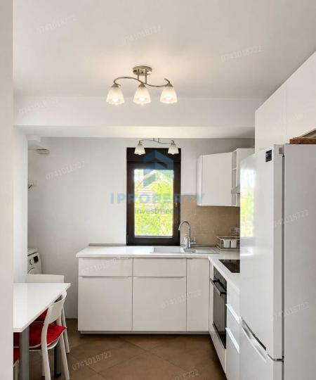 imagine-secundara-proprietate-305052