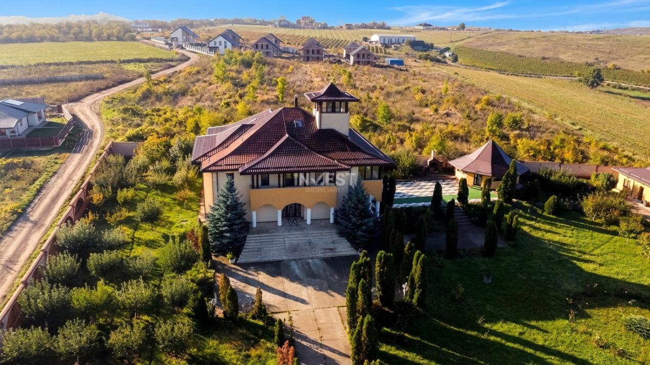 Proprietate Unică de Vânzare în Vișani, Iași – Reședință și Investiție Turistică - 1