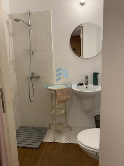 imagine-secundara-proprietate-305668