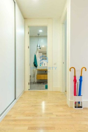 imagine-principala-proprietate-311793