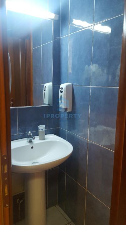 Domenii | Spatiu Birouri | Centrala Proprie | Garaj Separat ( 200 euro) | - fotografie proprietate 5