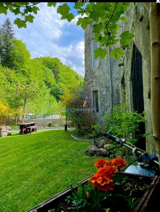 imagine-secundara-proprietate-292568