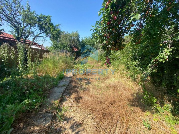 Vânzare Casă 5 camere în Colentina plus curte - fotografie proprietate 6
