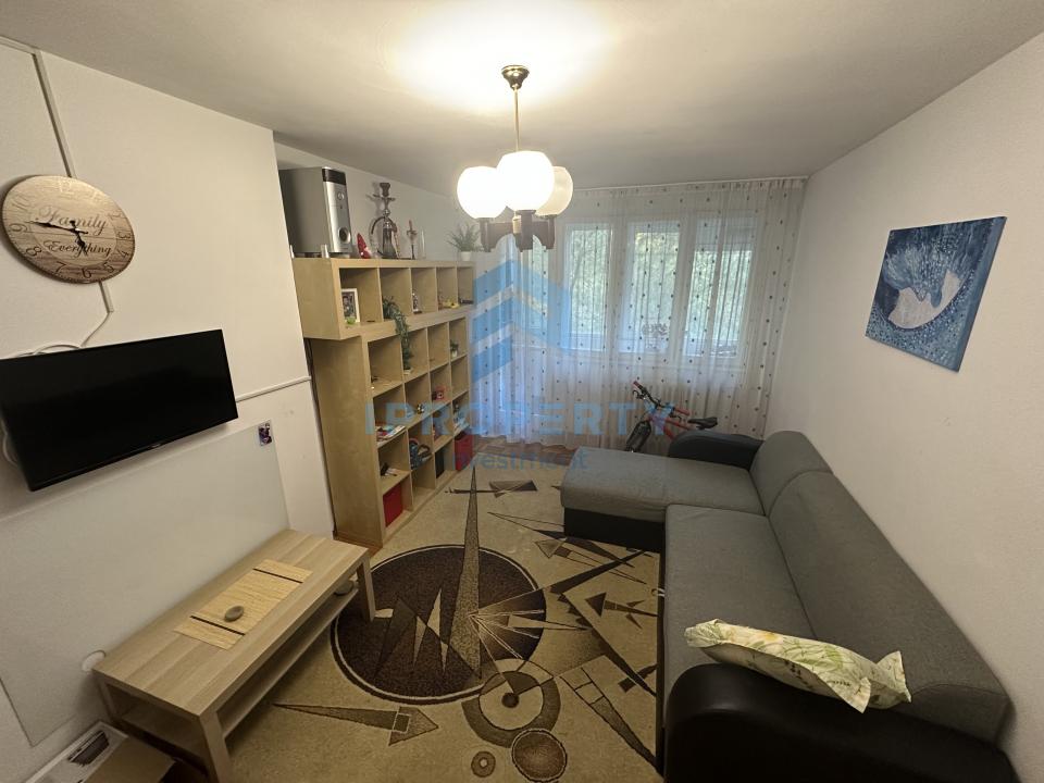 imagine-secundara-proprietate-315371
