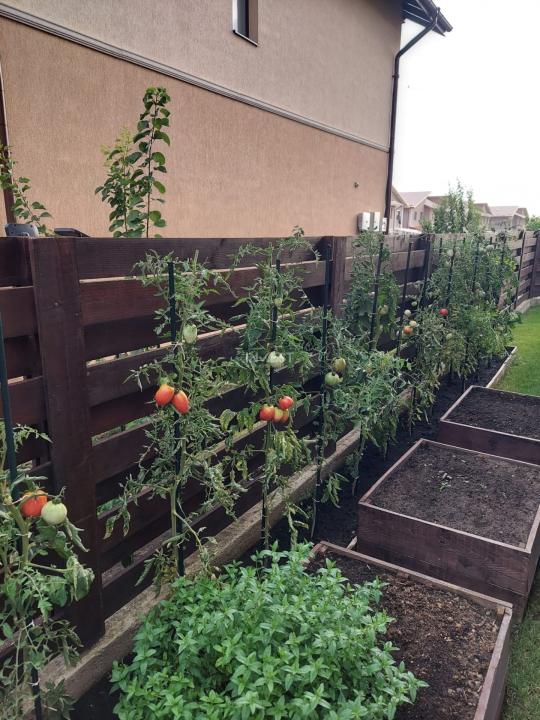 Casa 4C Valea Lupului-Iași - 14