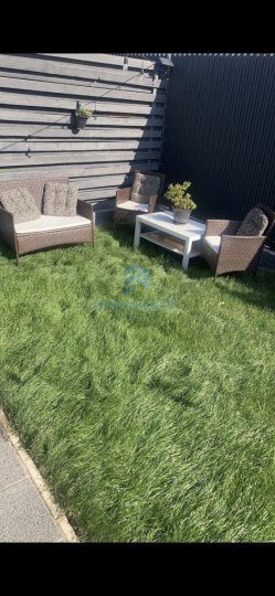 Închiriere Casă 4 camere în Pipera, 2 locuri parcare, Pet friendly, Curte - fotografie proprietate 3