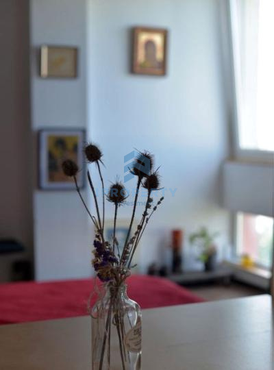 imagine-secundara-proprietate-296494