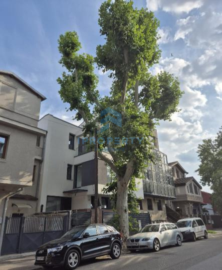 imagine-principala-proprietate-292452