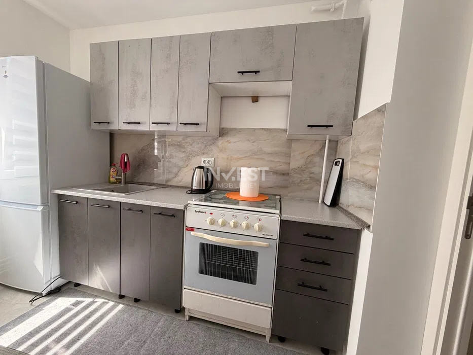 Apartament 2 camere de inchiriat zona Podu Ros  - 4
