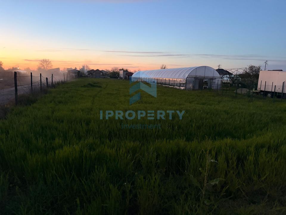 imagine-principala-proprietate-295871