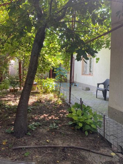 Vânzare Casă 5 camere în Colentina plus curte - fotografie proprietate 1