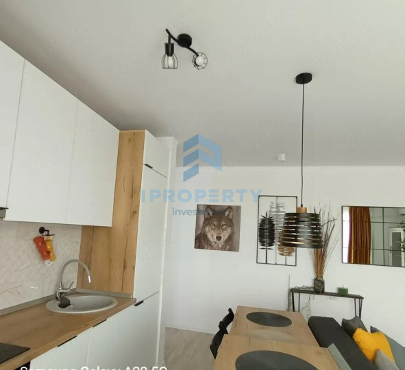 imagine-secundara-proprietate-313079