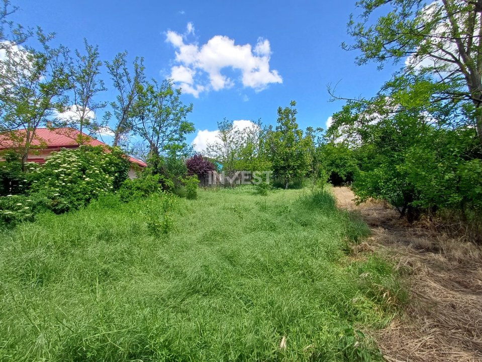 TEREN INTRAVILAN, 602 MP, REDIU