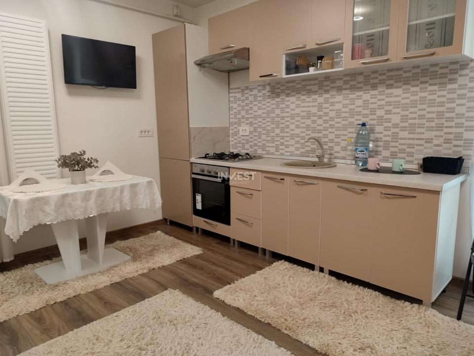 Penthouse cu 2 camere si 2 terase , 550 euro - Nicolina - 4