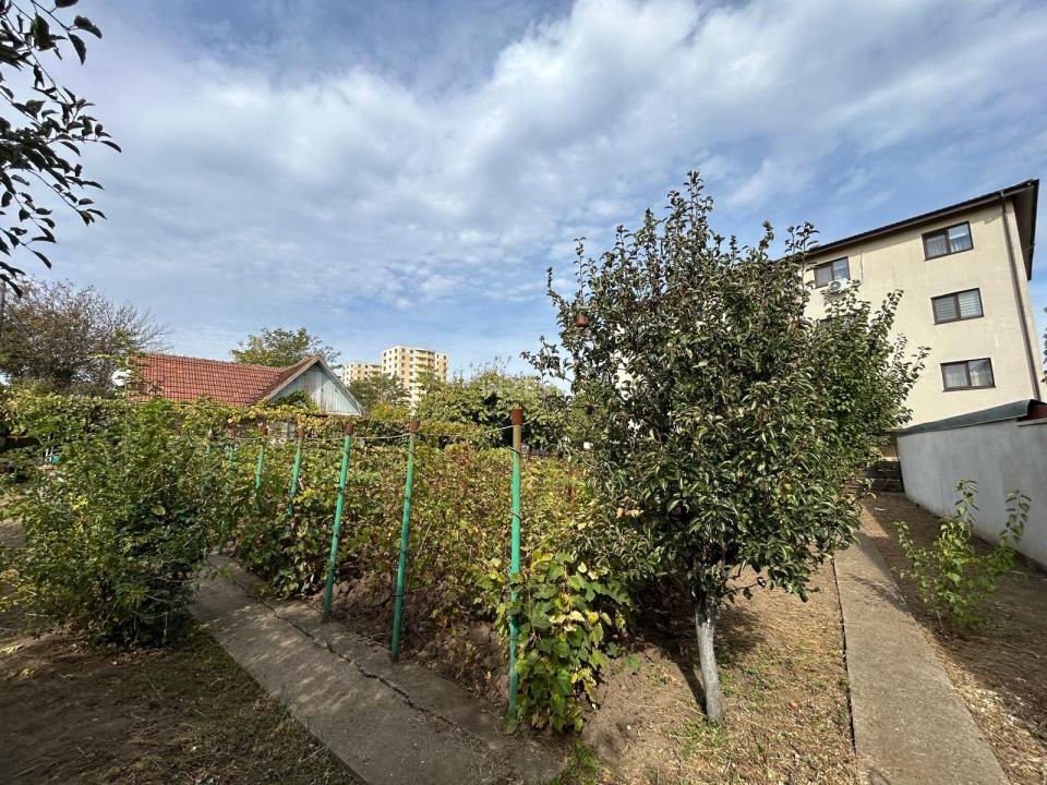 TEREN INTRAVALIN , 927 MP , DESCHIDERE 31 MP, CAPAT CUG-STRADA BAZEI - 4