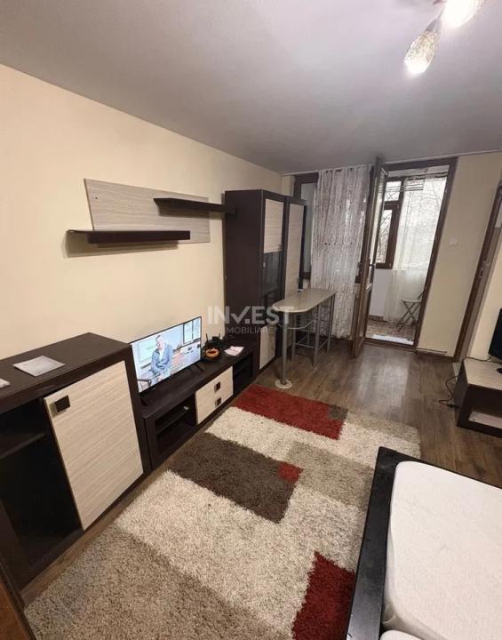 Apartament cu 1 Camera, Etaj 1, 32 mp, Centrala termica, Tatarasi   - 3